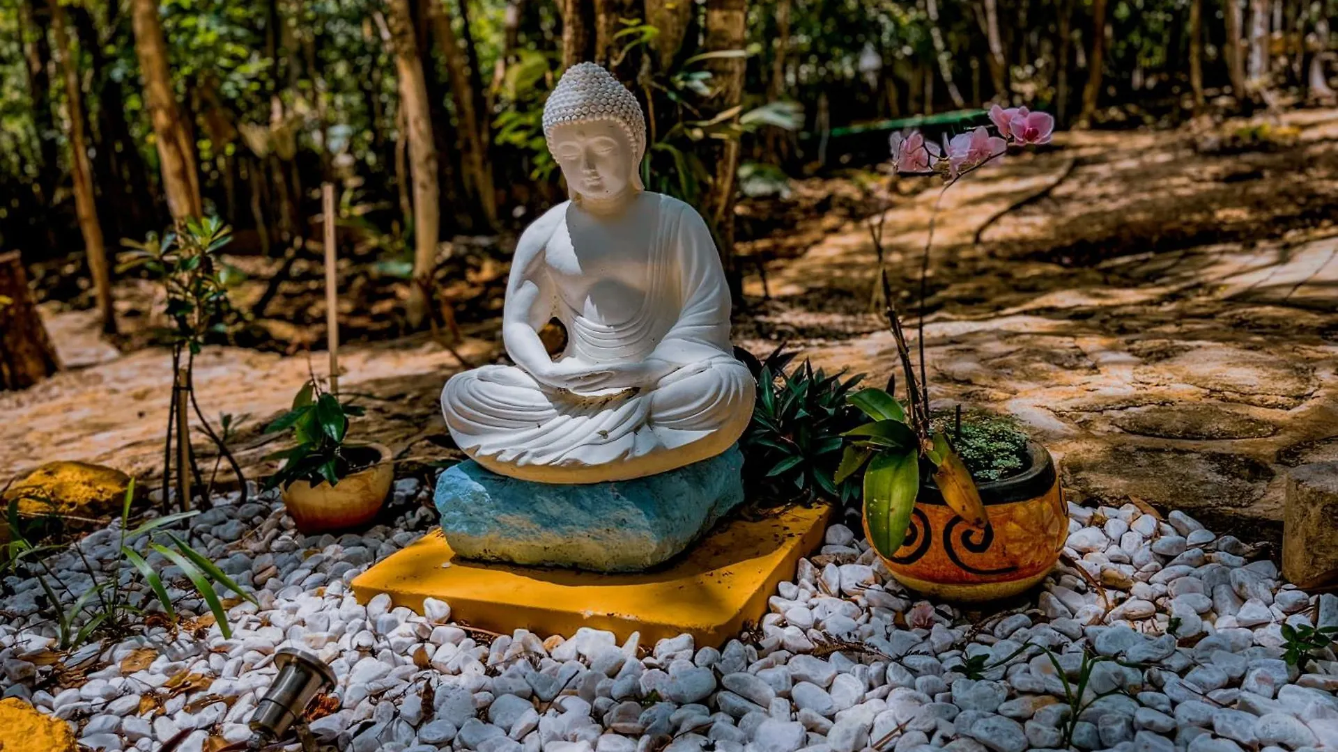 Ka'An Serenity - Wellness Sanctuary Santa Maria  4*, Santa Maria (Yucatan) Mexico